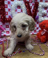 processed/f47f48df-b64e-4f87-a065-0cccf3d2ddbb/listing/4bb1bcf6-c484-4171-8fc2-6a882979b8ed/f972965f-3e2c-4d3d-995f-b7a5fdcb0aa3