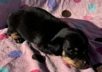 processed/f47f48df-b64e-4f87-a065-0cccf3d2ddbb/listing/b723cb49-c43f-41c1-8d6a-5fcd92e95efe/9ce5ac05-e6b5-4f13-8d9b-099e752e23b8