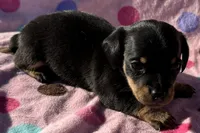 processed/f47f48df-b64e-4f87-a065-0cccf3d2ddbb/listing/b723cb49-c43f-41c1-8d6a-5fcd92e95efe/dc4a3c68-5e62-47de-a0cd-7150b8ad42e4