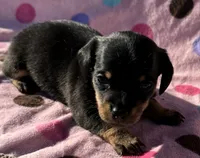 processed/f47f48df-b64e-4f87-a065-0cccf3d2ddbb/listing/b723cb49-c43f-41c1-8d6a-5fcd92e95efe/deef7733-b677-4c43-8815-14e164e930af