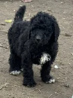 processed/f47f48df-b64e-4f87-a065-0cccf3d2ddbb/listing/b889a7af-7eb5-400b-a983-64774a18f43e/63e51991-a2de-40bc-89a6-0410ace91dfb