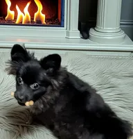 processed/f480c13a-9274-4324-bde0-cdfdabf5b458/listing/327099e8-acbf-4891-9066-db563706bb30/1eb3aca3-cec7-4c44-818d-3f98790070d0