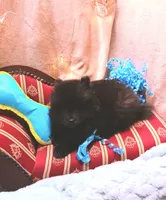 processed/f480c13a-9274-4324-bde0-cdfdabf5b458/listing/327099e8-acbf-4891-9066-db563706bb30/a64984aa-3470-4a81-8033-0a94f78e3512