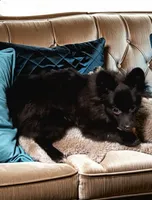 processed/f480c13a-9274-4324-bde0-cdfdabf5b458/listing/327099e8-acbf-4891-9066-db563706bb30/e3369fe2-f416-403e-8e50-2afdd222d236