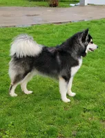 processed/f4866c0b-9bb1-48ef-a907-2e2670a6c453/facility/3de9e693-040b-4d29-8587-9934bec0cb13