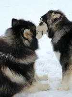 processed/f4866c0b-9bb1-48ef-a907-2e2670a6c453/facility/4c249fc4-549d-420a-8164-96c16ccc59f3