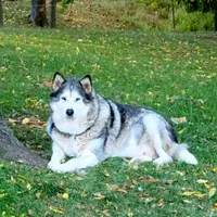 processed/f4866c0b-9bb1-48ef-a907-2e2670a6c453/facility/63c763b8-76b4-4120-bdc1-cb7bf518940c