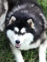 processed/f4866c0b-9bb1-48ef-a907-2e2670a6c453/facility/7f0ea0af-c0d7-48d0-b284-a3b8f6fc509f