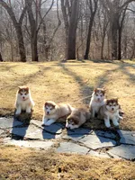 processed/f4866c0b-9bb1-48ef-a907-2e2670a6c453/facility/b68e551c-1e51-464c-8300-25fc01a9e534