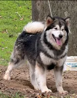 processed/f4866c0b-9bb1-48ef-a907-2e2670a6c453/facility/ccc594bd-c613-4a3f-8b9c-b35b4f706b28