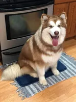 processed/f4866c0b-9bb1-48ef-a907-2e2670a6c453/facility/e919d092-7dd6-4520-b0fe-8a3cc57ee2c0