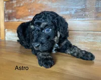 processed/f48928e5-8521-40c1-8112-284b69b01e56/facility/d69fb134-c09a-47a6-b30c-2263c386f49b