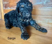 processed/f48928e5-8521-40c1-8112-284b69b01e56/facility/f51f2d72-e858-4047-b2be-d53e143f261c