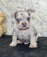 processed/f48ed522-d8ed-4f62-9314-a73761ecee2c/listing/0a33f4f6-ebb9-488e-9fde-e5f662e659c8/0f94008a-38da-4c7a-8c7c-43bbdbd70aa8