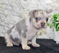 processed/f48ed522-d8ed-4f62-9314-a73761ecee2c/listing/0a33f4f6-ebb9-488e-9fde-e5f662e659c8/e1d9c313-faa8-4a9e-8354-95c37b1be4d4