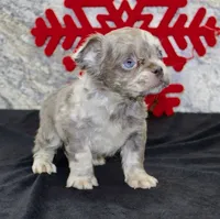 processed/f48ed522-d8ed-4f62-9314-a73761ecee2c/listing/2523a248-63ad-4f84-ae40-54302622de16/09e6abc7-df6d-4a49-ac35-37b6e136ac15