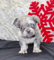 processed/f48ed522-d8ed-4f62-9314-a73761ecee2c/listing/2523a248-63ad-4f84-ae40-54302622de16/151cd085-c377-4abd-9f02-62de9f4a77bc