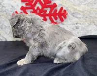 processed/f48ed522-d8ed-4f62-9314-a73761ecee2c/listing/2523a248-63ad-4f84-ae40-54302622de16/d28b94fa-d98a-4b96-9a01-b2d2fd899449