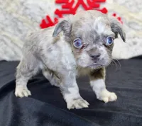 processed/f48ed522-d8ed-4f62-9314-a73761ecee2c/listing/2523a248-63ad-4f84-ae40-54302622de16/e69b140c-bd47-4e56-91b7-b1b4d84a0211