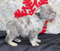 processed/f48ed522-d8ed-4f62-9314-a73761ecee2c/listing/2523a248-63ad-4f84-ae40-54302622de16/ee1aed07-87bb-476c-9eb2-a88c34164a61