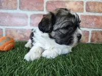 processed/f48ed522-d8ed-4f62-9314-a73761ecee2c/listing/41b06d83-88bb-41e3-af4b-2da37ed777a7/c63f40c2-0237-426f-928e-250f04dd94ec