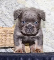 processed/f48ed522-d8ed-4f62-9314-a73761ecee2c/listing/accb5c41-ece8-4004-9b90-96b18a9f25ff/5bf0d03a-e633-4ff2-a0c7-557f2f058d20