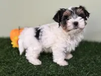 processed/f48ed522-d8ed-4f62-9314-a73761ecee2c/listing/ad3c2894-134a-4951-a1a9-ec1e38049dd4/594839ef-fb9c-40b9-b5ad-f29a53633e90