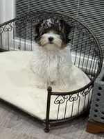 processed/f48ed522-d8ed-4f62-9314-a73761ecee2c/listing/ad3c2894-134a-4951-a1a9-ec1e38049dd4/82ed4c08-6c4e-452b-895a-ba35b4f7cd23