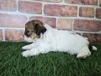 processed/f48ed522-d8ed-4f62-9314-a73761ecee2c/listing/dcbce3fd-c48a-4854-ba2f-76f54131a612/db122d7b-010a-4964-a06c-e3f79e3b83df