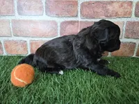 processed/f48ed522-d8ed-4f62-9314-a73761ecee2c/listing/e9075d12-e9e6-4162-8135-448a43819eda/2485c2b3-fe78-41b2-8691-024940a0410d