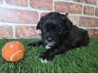 processed/f48ed522-d8ed-4f62-9314-a73761ecee2c/listing/e9075d12-e9e6-4162-8135-448a43819eda/97ea12e8-ce84-45df-af43-5957aeafc414