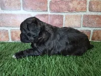 processed/f48ed522-d8ed-4f62-9314-a73761ecee2c/listing/e9075d12-e9e6-4162-8135-448a43819eda/fe703cdf-f7c2-4864-a029-e1f96ba6b2fe