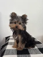 processed/f4963929-6a8b-4095-8de0-ef9d78b98fe6/listing/626d2533-1e00-41fc-b022-95d3772bcdc4/b12cd671-07e1-47b8-b177-6dba066fbcf4