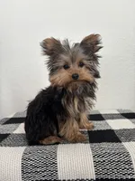 processed/f4963929-6a8b-4095-8de0-ef9d78b98fe6/listing/626d2533-1e00-41fc-b022-95d3772bcdc4/e8c5501f-cd51-4bda-b665-417a2242f4c7