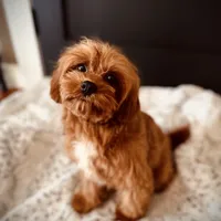 processed/f499362d-38f3-4d89-a840-73db36474d37/facility/76832f93-e559-45c3-b47c-56bafbd4ac16