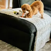 processed/f499362d-38f3-4d89-a840-73db36474d37/facility/7ad1d721-dcd0-47e8-955e-ff2836cb4c6f