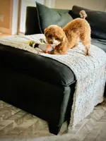 processed/f499362d-38f3-4d89-a840-73db36474d37/facility/7ad1d721-dcd0-47e8-955e-ff2836cb4c6f