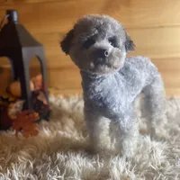 processed/f499362d-38f3-4d89-a840-73db36474d37/facility/c5dc20e0-6558-4870-842c-983b991c3d3d