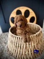 processed/f499362d-38f3-4d89-a840-73db36474d37/listing/1196246c-cc6a-472a-ab5a-34becf03e370/0a84598c-b159-4730-9c1c-dbc114e6858f