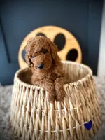 processed/f499362d-38f3-4d89-a840-73db36474d37/listing/1196246c-cc6a-472a-ab5a-34becf03e370/618e1fa2-90b1-412c-a60e-52620c5938b5