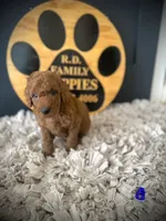 processed/f499362d-38f3-4d89-a840-73db36474d37/listing/1196246c-cc6a-472a-ab5a-34becf03e370/92a2c510-d47f-4407-b881-00e21893bced