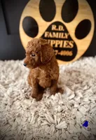 processed/f499362d-38f3-4d89-a840-73db36474d37/listing/1196246c-cc6a-472a-ab5a-34becf03e370/c03f4e0f-19cd-42bf-8d3e-76187e2109c9