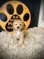 processed/f499362d-38f3-4d89-a840-73db36474d37/listing/6b76d330-83fa-4130-a466-e42c08009a49/11f5b070-4864-4e1d-b145-35c9ff1d9e70