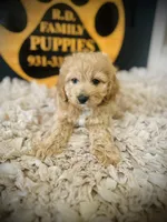 processed/f499362d-38f3-4d89-a840-73db36474d37/listing/6b76d330-83fa-4130-a466-e42c08009a49/7612c153-45d2-4bba-876d-de1f5a5e918e