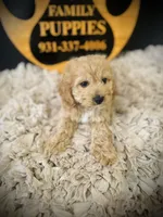 processed/f499362d-38f3-4d89-a840-73db36474d37/listing/6b76d330-83fa-4130-a466-e42c08009a49/815256e6-40fc-4dfc-9fad-472918b938af