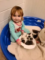 processed/f49bff26-3748-4b58-875a-3b0f825c2a44/facility/01dd7bdf-3ed2-4aa9-afb3-0b262a9202db