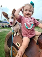 processed/f49bff26-3748-4b58-875a-3b0f825c2a44/facility/4e557580-659b-4006-a7dd-ad8a557d5b50