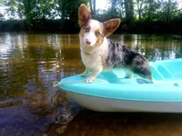 processed/f49bff26-3748-4b58-875a-3b0f825c2a44/facility/da72979a-304d-4e10-9597-dd32977085ff