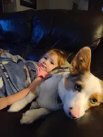 processed/f49bff26-3748-4b58-875a-3b0f825c2a44/facility/e9a37745-6e1c-42f0-88a6-efe4a87a48d2