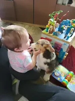 processed/f49bff26-3748-4b58-875a-3b0f825c2a44/facility/ea1ba622-f03e-4c5a-808c-d0fb657f24c2